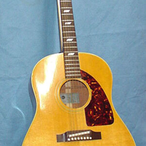 Acoutstic Guitars